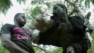 Download Lagu TONY MKONGO, The Best Ever MP3