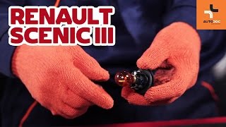 Wie RENAULT SCÉNIC III (JZ0/1_) Blinker-Glühbirne wechseln - Video-Tutorial