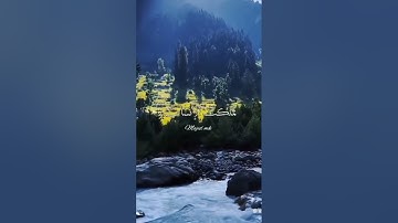 اللهم صلي وسلم وبارك على سيدنا محمد #تلاوة_خاشعة #ترند #quran #قران_كريم #ارح_قلبك #استغفرالله #اكسب