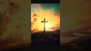 354 Worry About What Comes From The Body, Not What Goes In. Mark 7 8-23