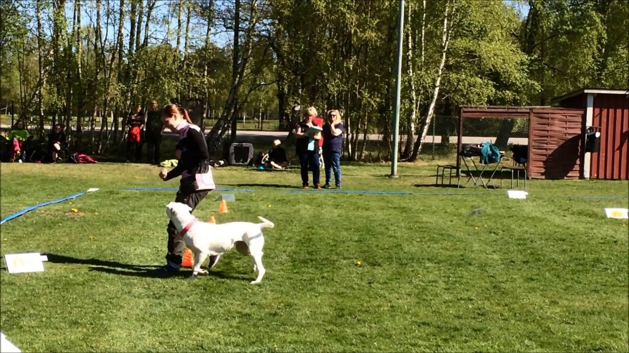 Avancerad Klass, 80p,