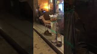 Nargile Seven Arkadaşlar Için Bu Video Çok Güzel Mekan