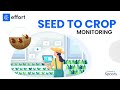 Seed to Crop Monitoring Excellence: How EFFORT Boosts Productivity for Seed Companies