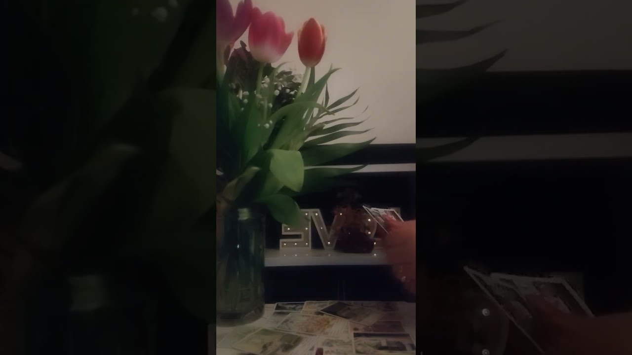 Tarot Tiganes Doamne și Domni Martie 2026 (0723763917)