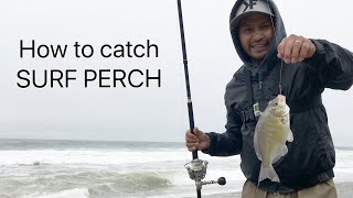 Tips and Techniques for fishing Surf Perch | Catch and Cook