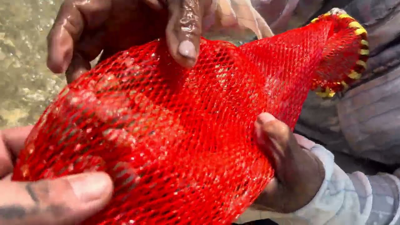 Real Thailand Life 🐚 Koh Samui Beach Morning