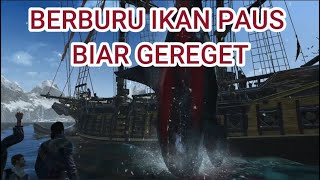 BERBURU IKAN PAUS PEMBUNUH DI ASSASSIN CREED ROGUE screenshot 2