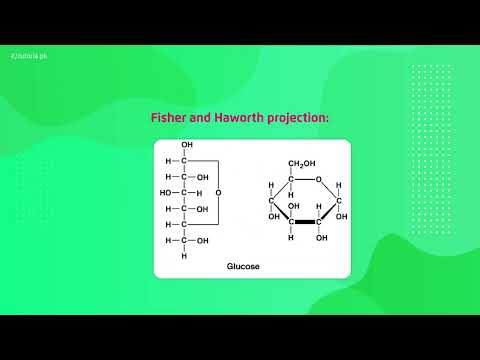 Video Biology Grade 11 Chapter 2 Topic 10  Monosaccharaides and Oligosaccharide - youtube