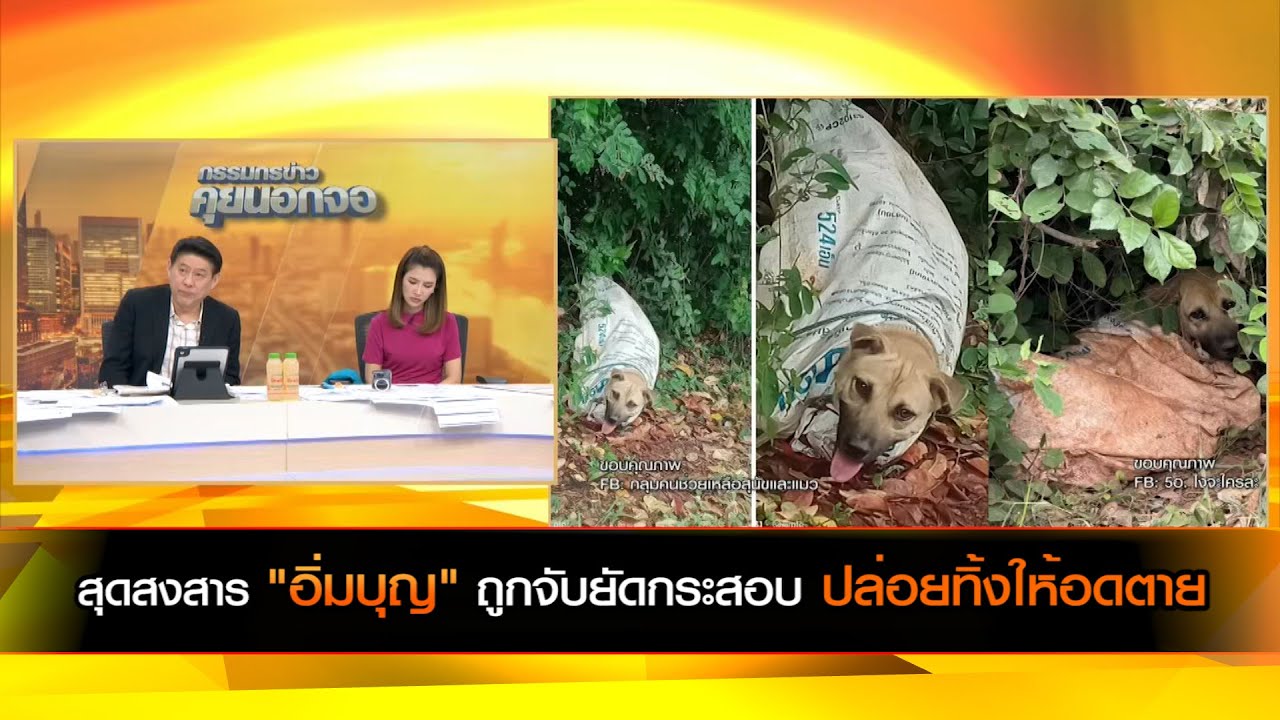 สุดสงสาร "อิ่มบุญ" สุนัขถูกจับยัดกระสอบ ปล่อยทิ้งให้อดตาย ประกาศตามหาคนทำ พร้อมเงินรางวัล