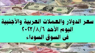 سعر الدولار والعملات العربية والأجنبية فى السوق السوداء اليوم الأحد ٦ أغسطس ٢٠٢٣