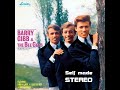 SELF MADE STEREO Bee Gees Sing &amp; Play 14 Barry Gibb Songs