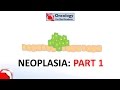 1. Neoplasia part 1: definition, how it relates to cancer