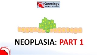 1. Neoplasia part 1: definition, how it relates to cancer