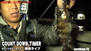 【第一精工】カウントダウンタイマー実釣編in大阪湾ボートゲーム