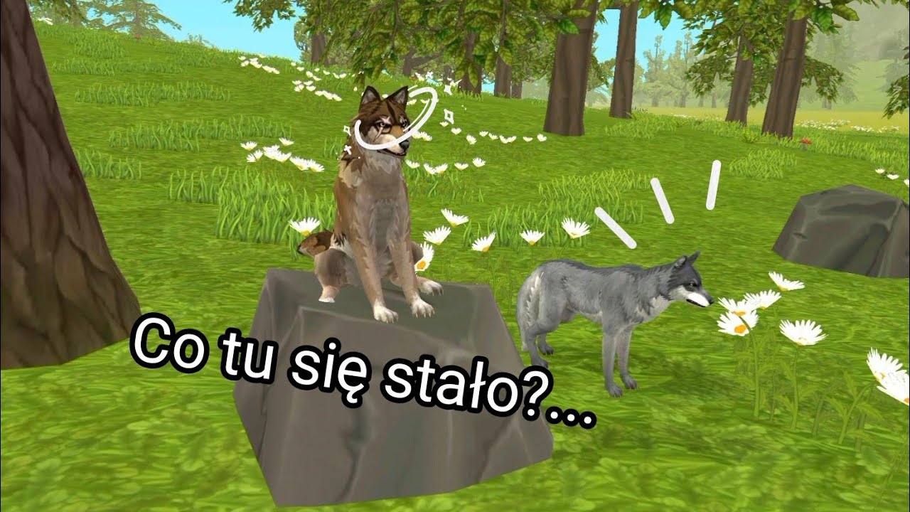 Ryk Niebezpieczeństwo odc.8 Matka na kamieniu i szybkie dorastanie.