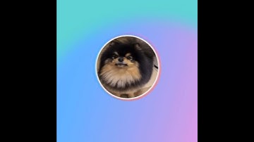Taehyung is singing along Jungkook