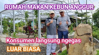 Rumah makan berkonsep kebun anggur || Aouto rame