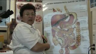 7. Причина сгущения крови. 7. Причина сгущения крови.