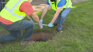 Full Wastewater testing reveals COVID-19 at OSU dorm News