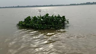 Shamsan Kali Sadhna शमशन कल सधन