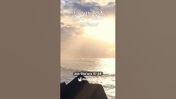 Surah Ash Shu'ara  67 - 68 Hindi - Urdu Audio translation | سورة الشعراء