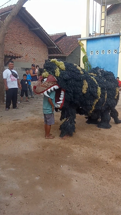 Viral Detik-detik si Bocil di telen macan #jaranan #terbaru #kudalumping #barongan @B.J.S.budoyo