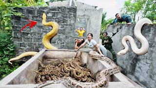 3 Brave Hunters Risk Their Lives to Rescue Girl Attacked by Giant White Python in Abandoned House