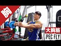 【大胸筋筋トレ】ペックフライの正しいフォーム・やり方・コツ | 「肩が痛い」「高さや使い方がわからない」という方はぜひ！