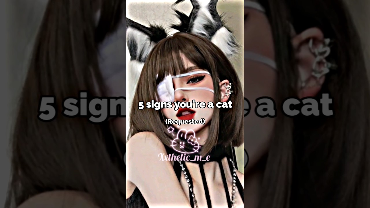 5 signs you're a cat😺🎀🌸 #shorts #aesthetic #subscribe #fypシ゚viral #edit #cat #signs #cute #request