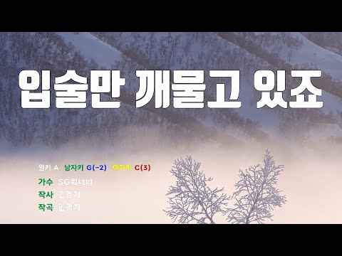 [은성 반주기] 입술만깨물고있죠 - SG워너비