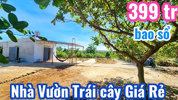Bán Nhà Vườn Trái cây Tuyệt Đẹp sổ sẳn (24x53x55)= 1.248.8m² giá 399 tr bao sổ hết đất 