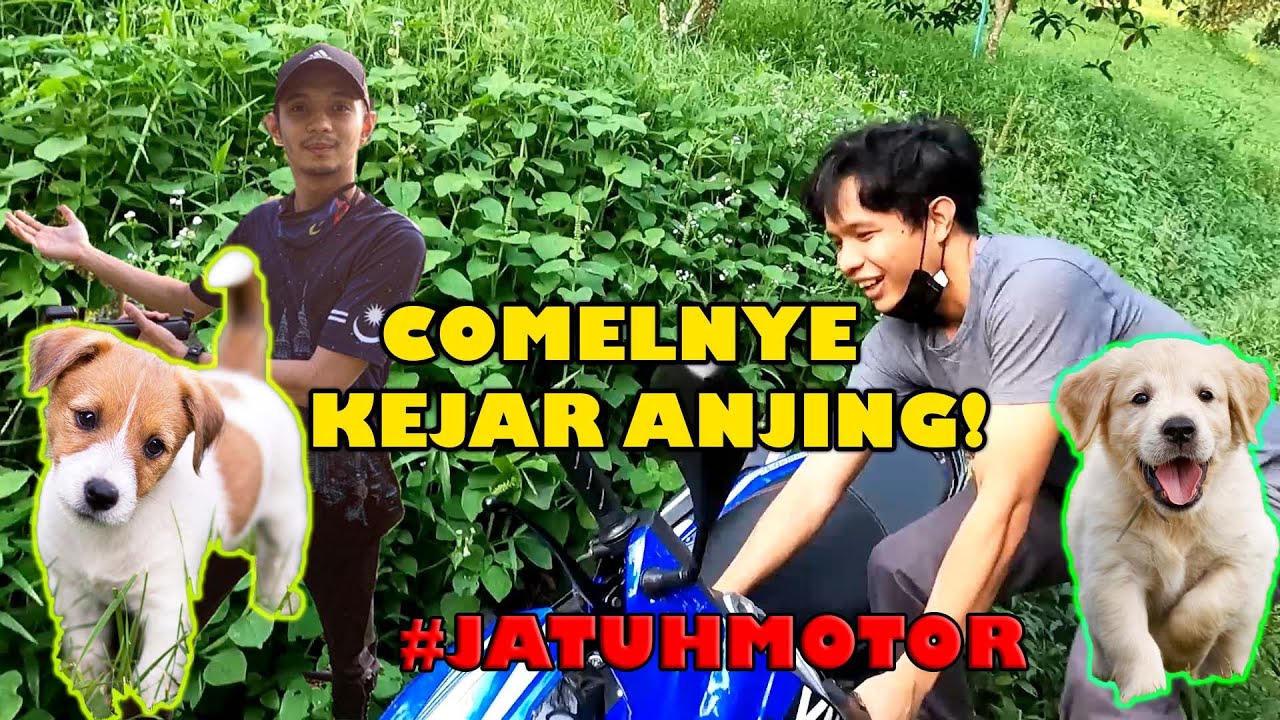 MASUK HUTAN KEJAR ANJING COMEL | JATUH MOTOR