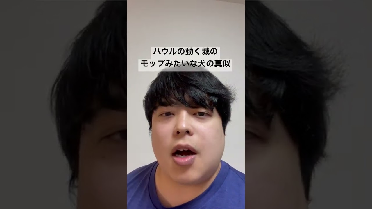 ハウルの動く城のモップみたいな犬の真似 ちるどん ハウルの動く城 Youtube