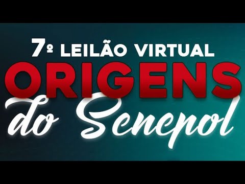 Lote 47   Aloha da 3G FIV   GGG 1006