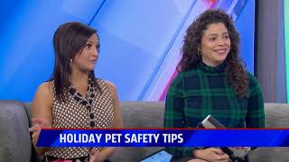 Holiday pet safety tips