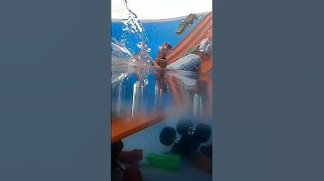 Hot wheels on the waterslide - HiSHA 【飛車】Hot Wheels  Short #shorts