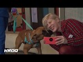KROQ To The Rescue: Wallis Annenberg Petspace