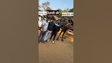 C,S,A Tour //part-3//Maths by sumit sir//#noida #sumitacademy #educational