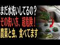 【99%が見落とす】ブロッコリーは水洗いだけでは不十分!汚れと虫を落とす正しい方法