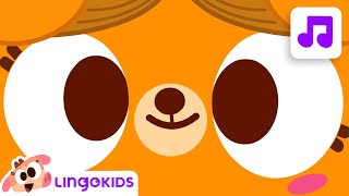 🧼 WASHING HANDS  🙌 Songs for Kids 👫 Good Hygiene Habits Lingokids