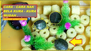 cara - cara nak setup aquarium untuk kura - kura