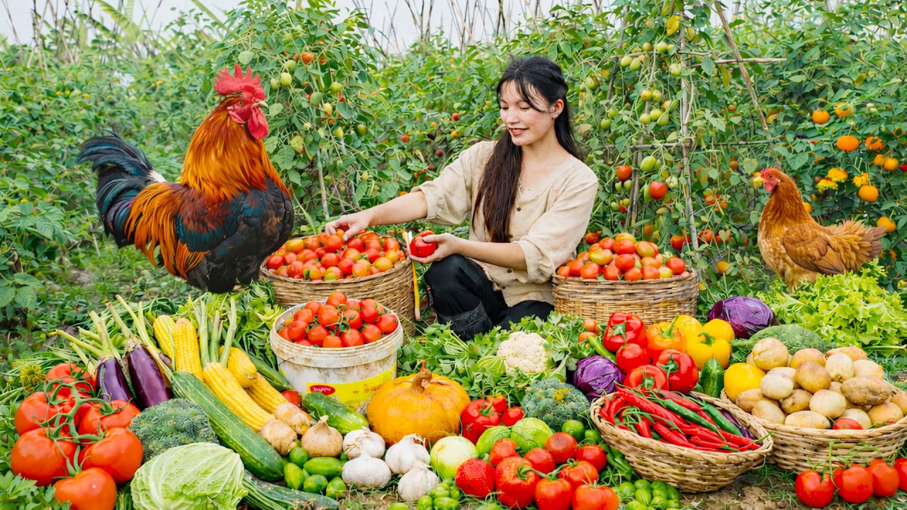 30 Day Peaceful Slow Living | Harvesting Organic Tomatoes & Vegetables Goes To Market Sell