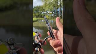 Fish Everywhere With The Pocketrod