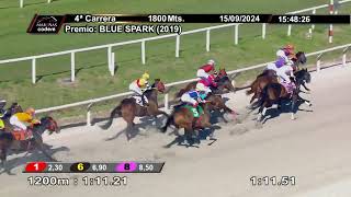 Vidéo de la course PMU PRIX BLUE SPARK (2019)