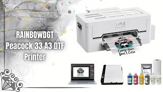 RAINBOWDGT Peacock 33 A3 DTF Printer 🖨️ XP600 Garment Printing Beast | T-Shirt Business Setup 🔥