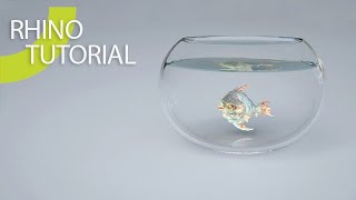 Rhino Fishbowl Revolve Tutorial 05