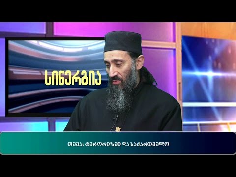 ტერორიზმი და საქართველო | გადაცემა ,,სინერგია\"  16.11.2015