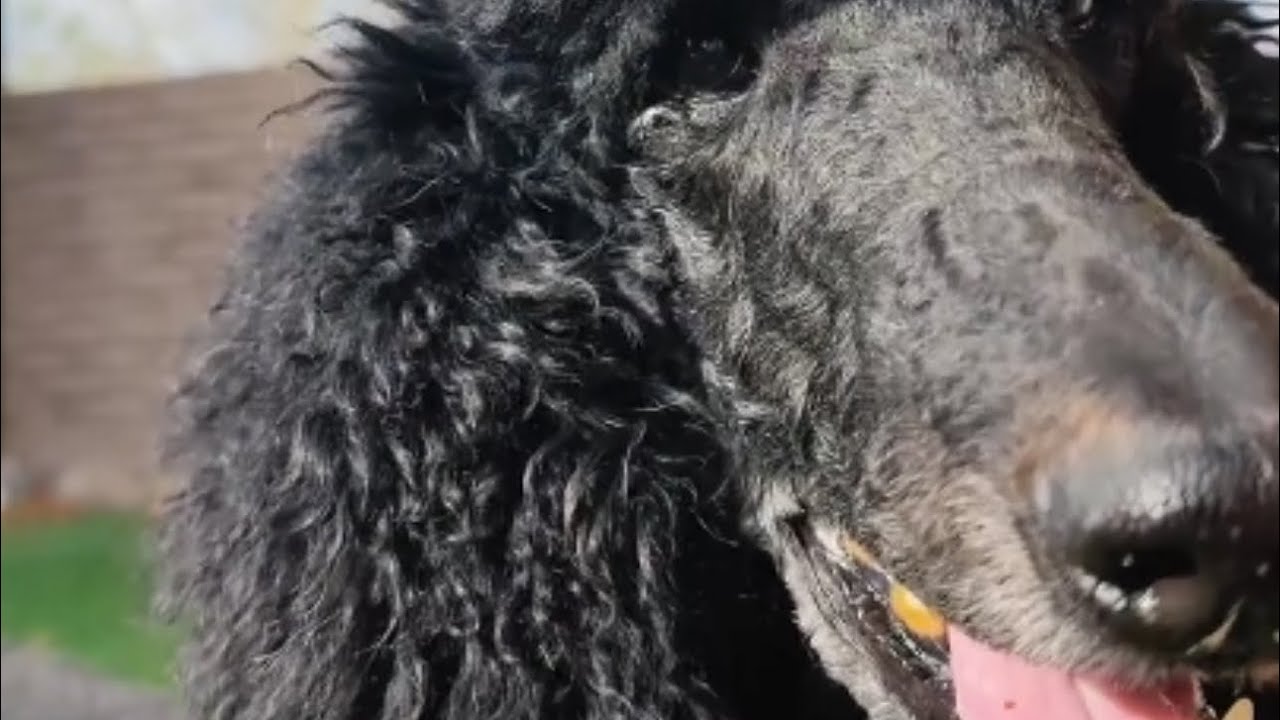 Angel’s Morning Show Replay