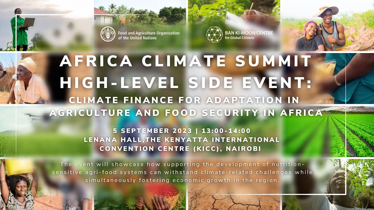 Africa Climate Summit - Climate Finance for Adaptation in Agriculture ...