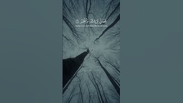 سورة الكوثر | حالات واتس اب دينية عبدالرحمن مسعد